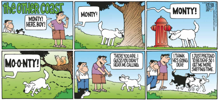 RAESIDE CARTOON | iNFOnews.ca