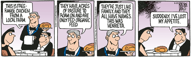 RAESIDE CARTOON | iNFOnews.ca