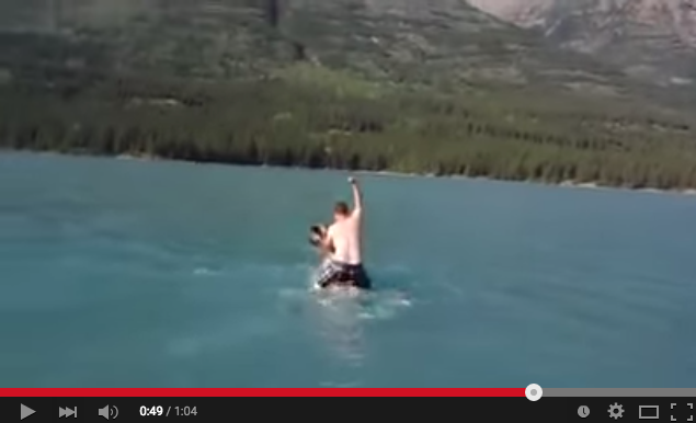 Moose-riding man under investigation: B.C. conservation officer | iNFOnews.ca Moose-riding man under investigation: B.C. conservation officer | iNFOnews.ca