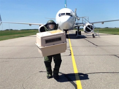 WestJet plane lands in Saskatoon after threat; 147 passengers and 6 crew aboard | iNFOnews.ca WestJet plane lands in Saskatoon after threat; 147 passengers and 6 crew aboard | iNFOnews.ca