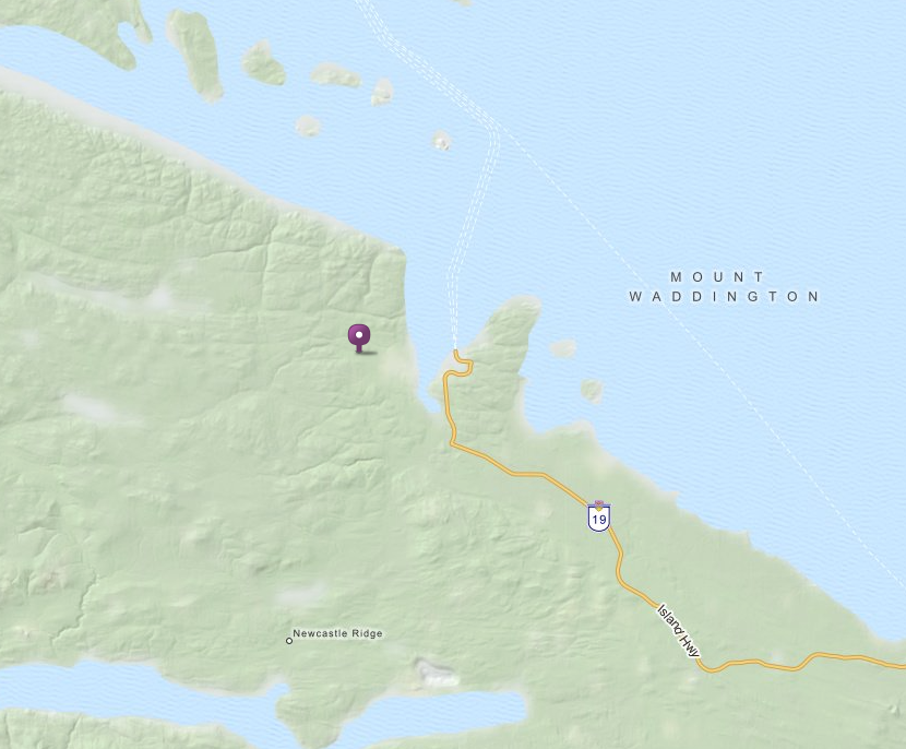 Emergency declared in Port Hardy as dozens of wildfires burn across B.C. | iNFOnews.ca