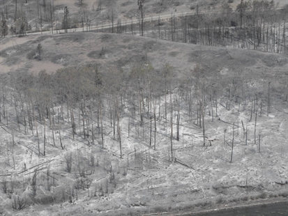 Crews contain 30 per cent of wildfire near Williams Lake | iNFOnews.ca