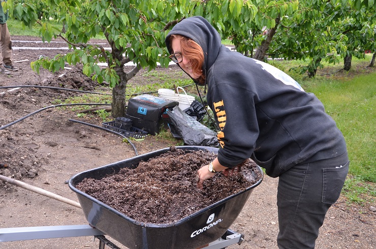 Why farming in Kelowna is still viable | iNFOnews.ca Why farming in Kelowna is still viable | iNFOnews.ca
