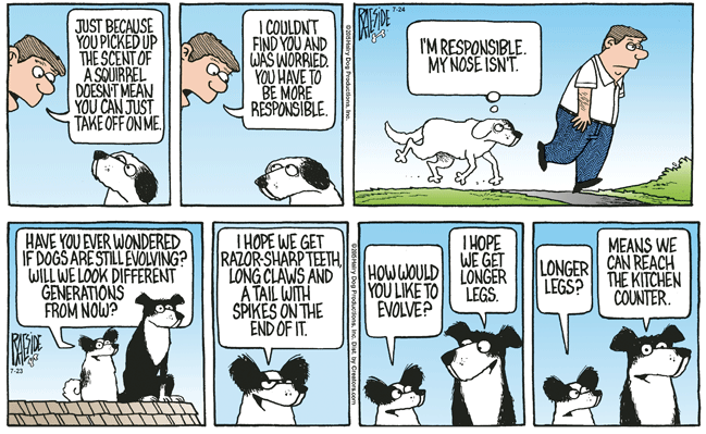 RAESIDE CARTOON | iNFOnews.ca