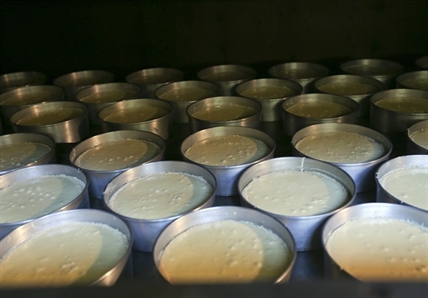 God and cheesecake: Nuns bake high-end cheesecakes to help support monastery | iNFOnews.ca