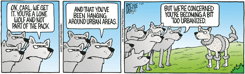 RAESIDE CARTOON | iNFOnews.ca