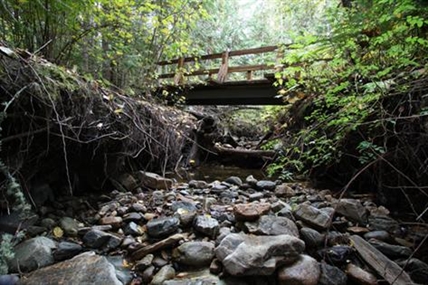 Take the Kelowna Hidden Gems Park Challenge | iNFOnews.ca