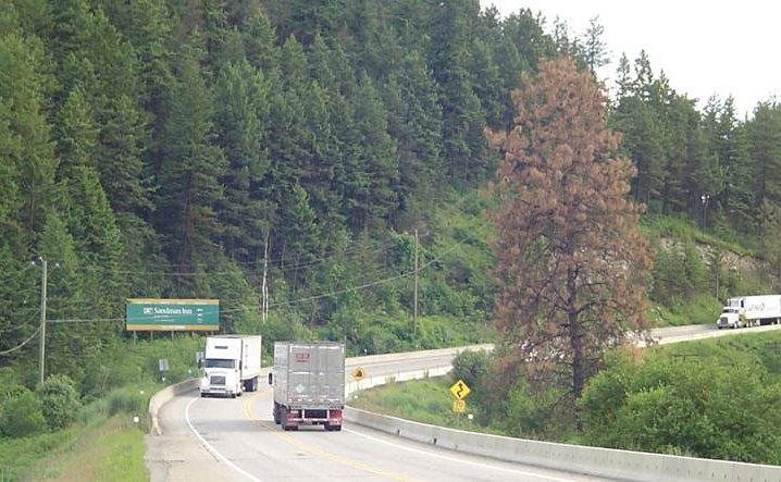 B.C. government says upgrades to highway where bus crashed are 'critical' | iNFOnews.ca