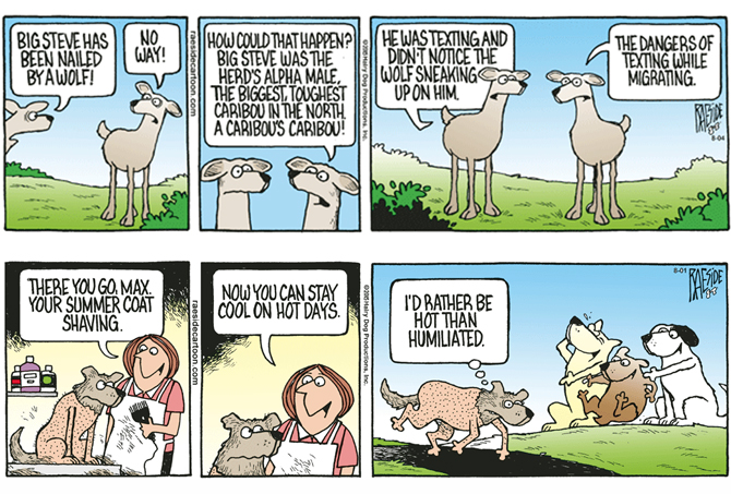 RAESIDE CARTOON | iNFOnews.ca