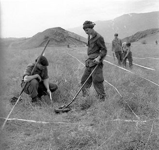Lakeview, lush and littered with explosives in Vernon | iNFOnews.ca