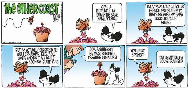 RAESIDE CARTOON | iNFOnews.ca