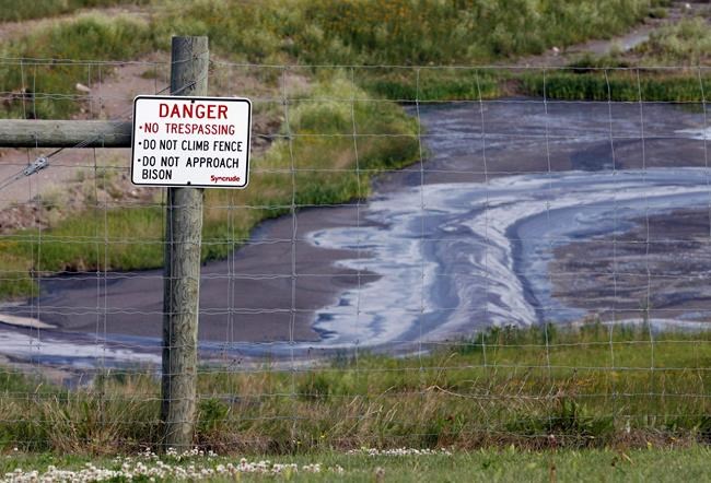 Alberta regulator investigates reports that 30 herons died at oilsands site | iNFOnews.ca Alberta regulator investigates reports that 30 herons died at oilsands site | iNFOnews.ca
