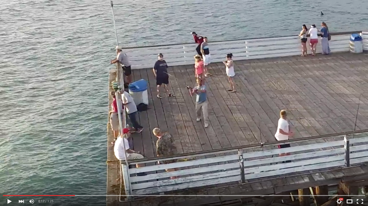 TRENDING NOW: Fisherman vs. drone pilot: Who is the jerk? | iNFOnews.ca