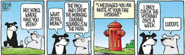 RAESIDE CARTOON | iNFOnews.ca