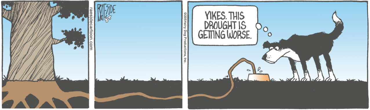 RAESIDE CARTOON | iNFOnews.ca