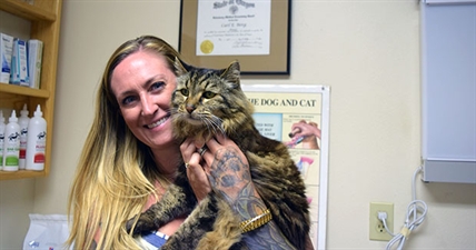 26-year-old cat in US is recognized as oldest living cat by Guinness World Records | iNFOnews.ca 26-year-old cat in US is recognized as oldest living cat by Guinness World Records | iNFOnews.ca