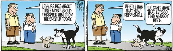 RAESIDE CARTOON | iNFOnews.ca