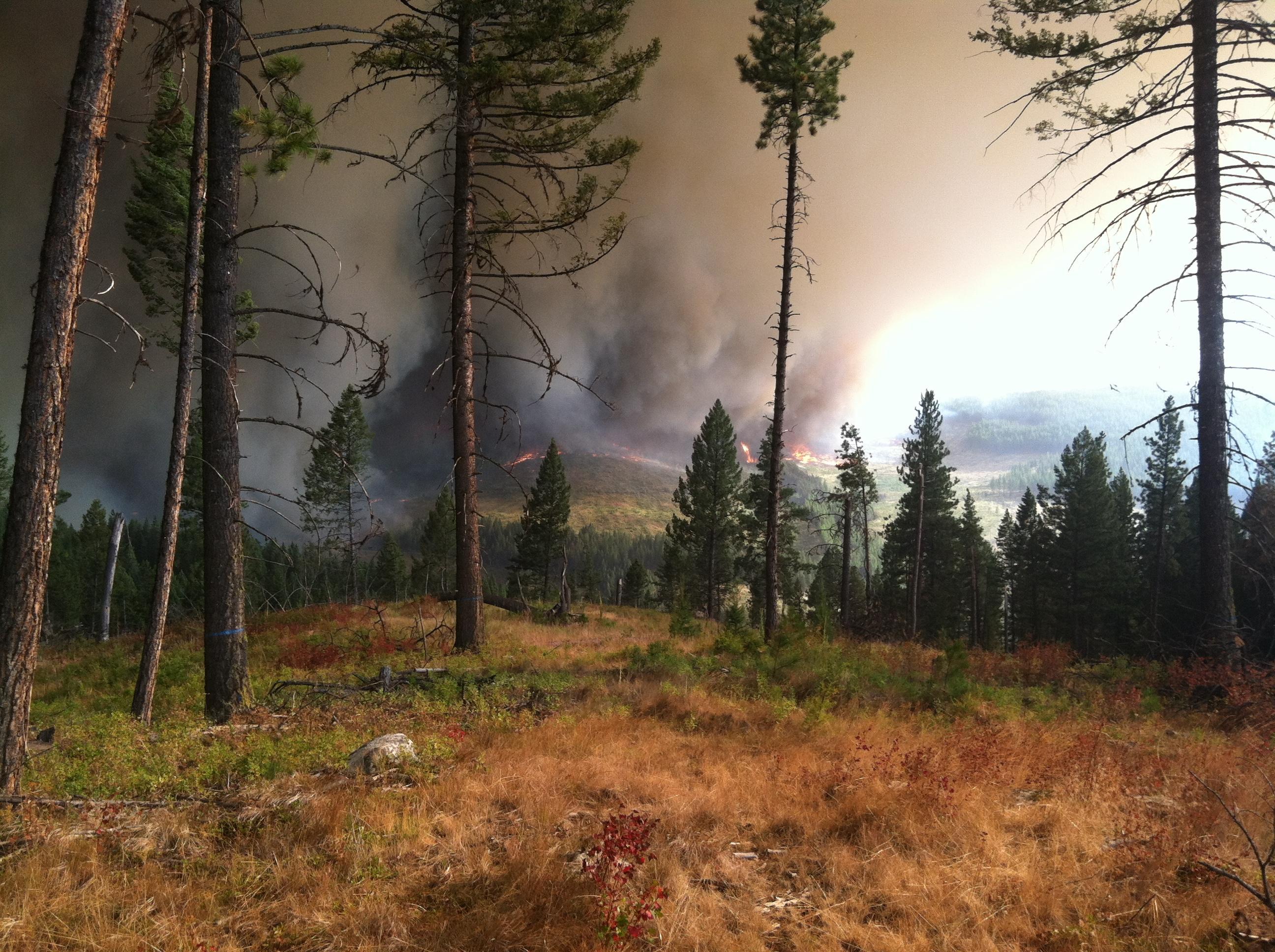 Evacuation alerts possible as U.S. fire chars its way toward Canadian border | iNFOnews.ca