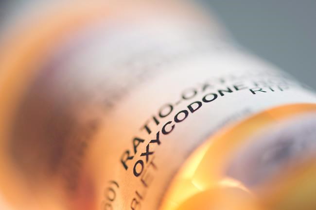 Men more likely to die from high-dose opioid use for chronic pain, study finds | iNFOnews.ca