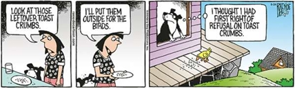 RAESIDE CARTOON | iNFOnews.ca RAESIDE CARTOON | iNFOnews.ca