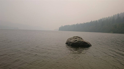 Heavy wildfire smoke from U.S. has small upside for firefighters in B.C. | iNFOnews.ca