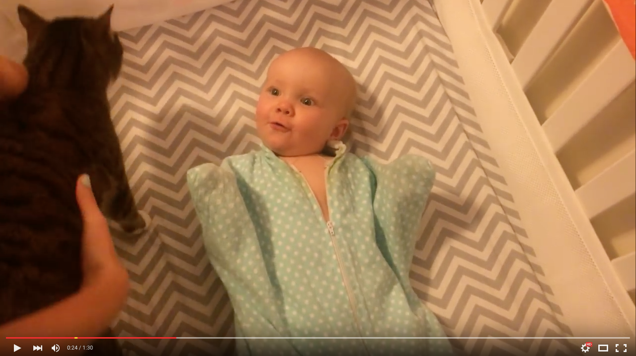 TRENDING NOW: Baby's reaction to seeing a cat for the first time | iNFOnews.ca