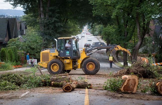 Clean-up begins in wake of severe B.C. windstorm, thousands still without power | iNFOnews.ca