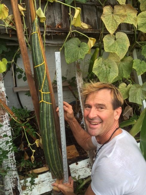 Kelowna man hopes his cucumber is long enough for record | iNFOnews.ca