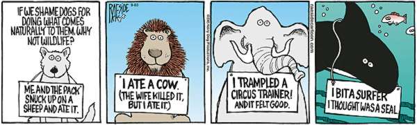 RAESIDE CARTOON | iNFOnews.ca