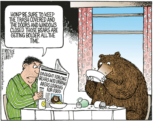 RAESIDE CARTOON | iNFOnews.ca