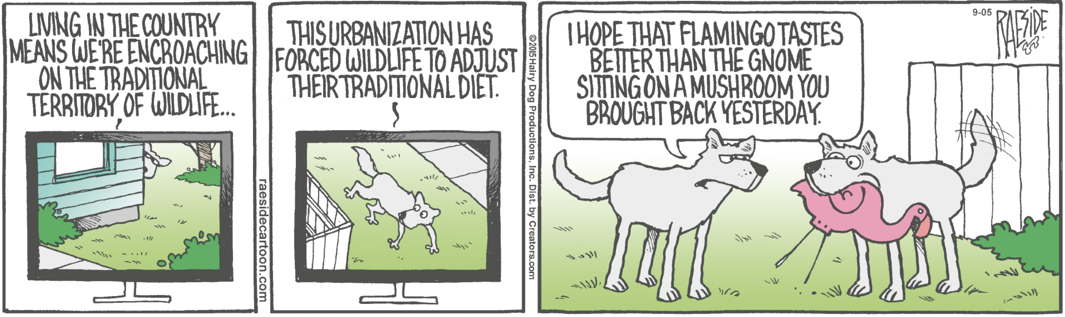 RAESIDE CARTOON | iNFOnews.ca