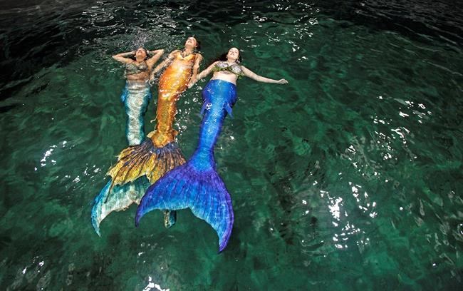 Mermaid company making a splash across Maritime provinces | iNFOnews.ca