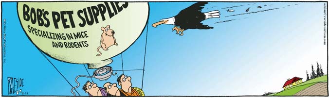 RAESIDE CARTOON | iNFOnews.ca