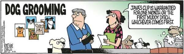 RAESIDE CARTOON | iNFOnews.ca