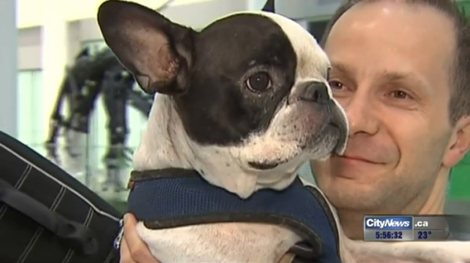 Air Canada pilot diverts flight to save dog's life | iNFOnews.ca