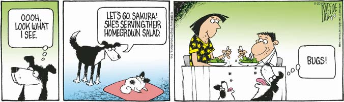 RAESIDE CARTOON | iNFOnews.ca