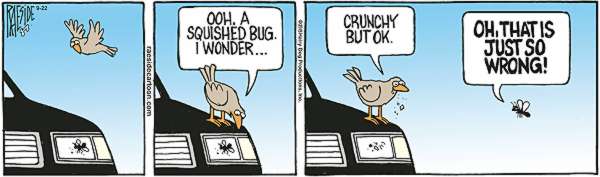 RAESIDE CARTOON | iNFOnews.ca