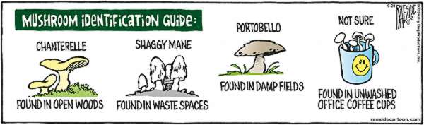 RAESIDE CARTOON | iNFOnews.ca