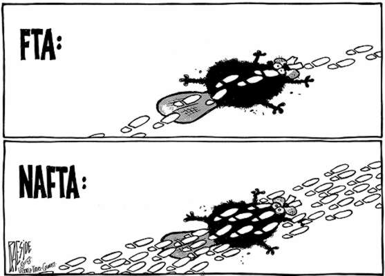 RAESIDE CARTOON | iNFOnews.ca