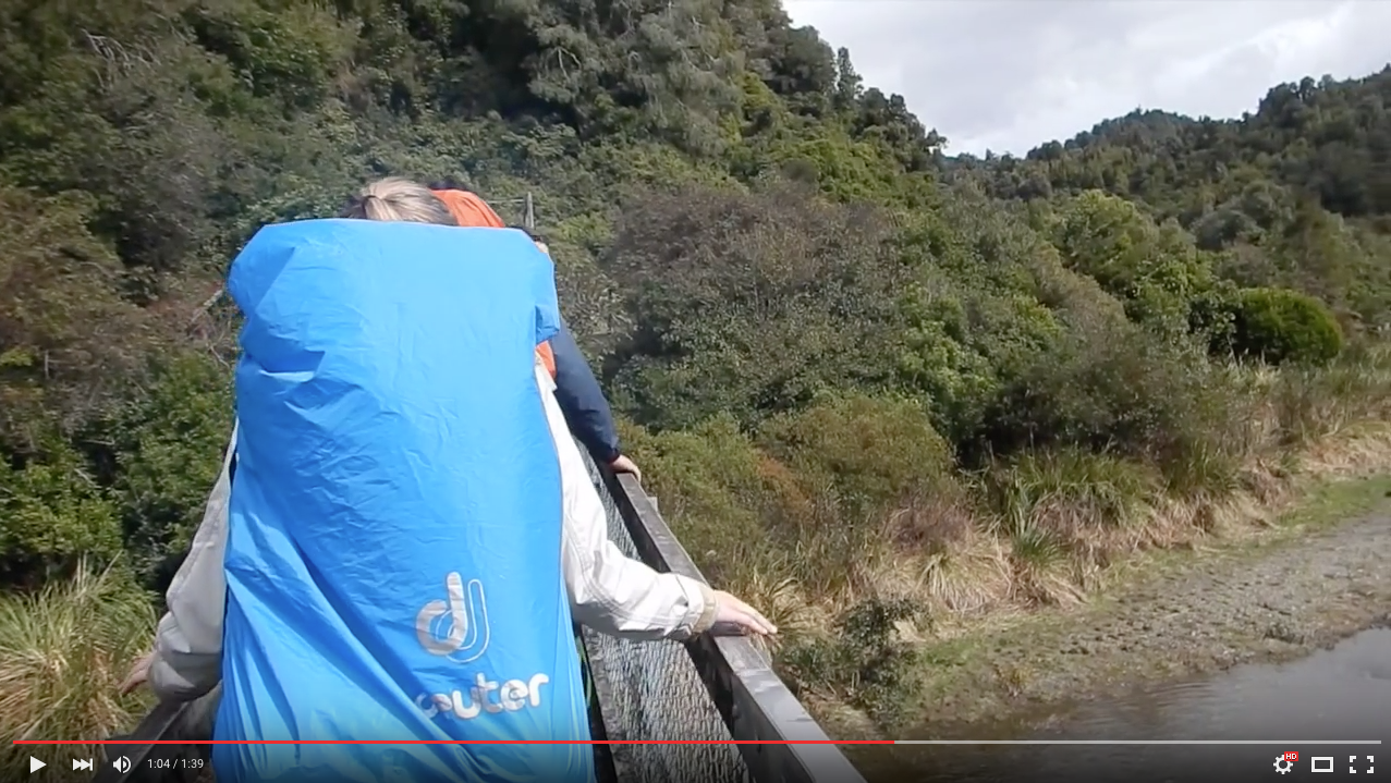 TRENDING NOW: Hikers fall when suspension bridge collapses | iNFOnews.ca TRENDING NOW: Hikers fall when suspension bridge collapses | iNFOnews.ca