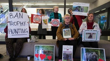 B.C. protesters want apology from NHL defenceman after grizzly bear killed | iNFOnews.ca