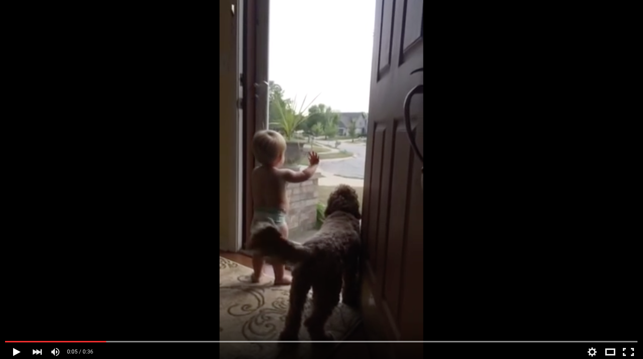 TRENDING NOW: Adorable toddler and dog freak out | iNFOnews.ca