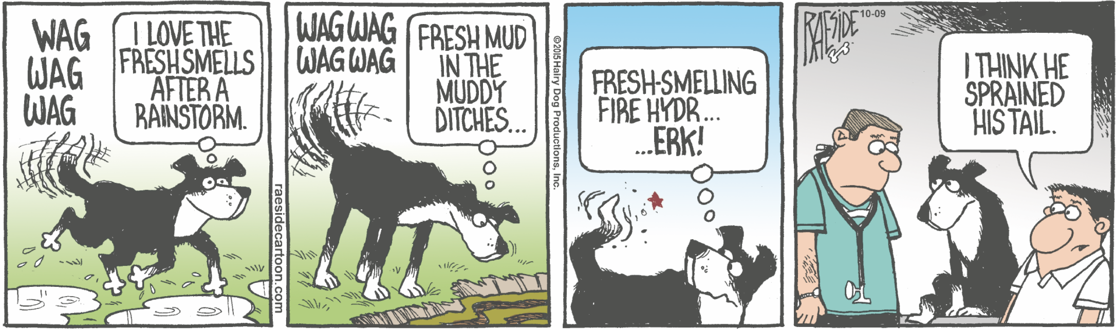 RAESIDE CARTOON | iNFOnews.ca