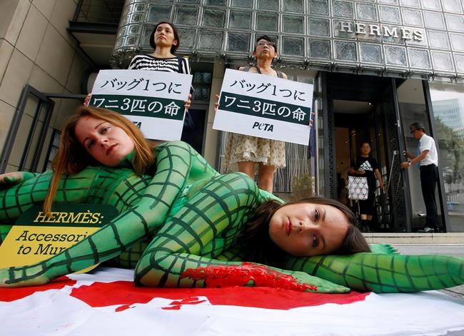 PETA: Controversy, celebs and 3 million members as animal rights group turns 35 | iNFOnews.ca