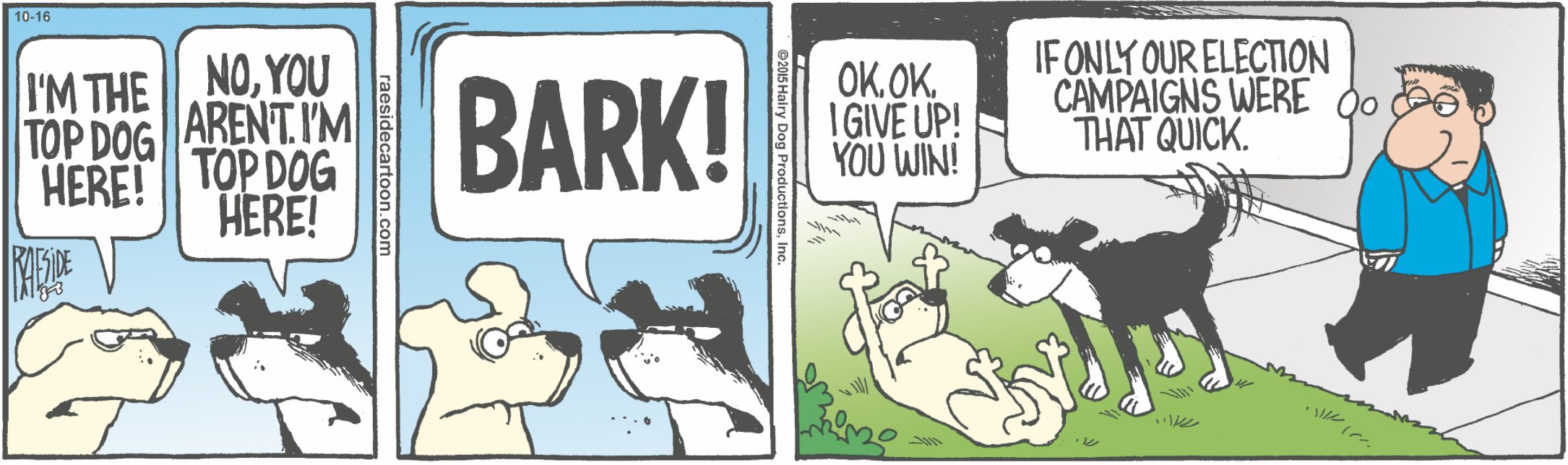 RAESIDE CARTOON | iNFOnews.ca