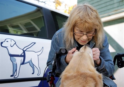 Blind woman reunites with guide dog that jumped in front of bus to save her | iNFOnews.ca Blind woman reunites with guide dog that jumped in front of bus to save her | iNFOnews.ca