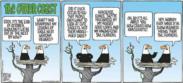 RAESIDE CARTOON | iNFOnews.ca