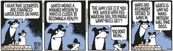 RAESIDE CARTOON | iNFOnews.ca