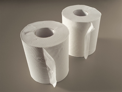Toilet paper controversy at Ryerson has critics denouncing two-tier system | iNFOnews.ca