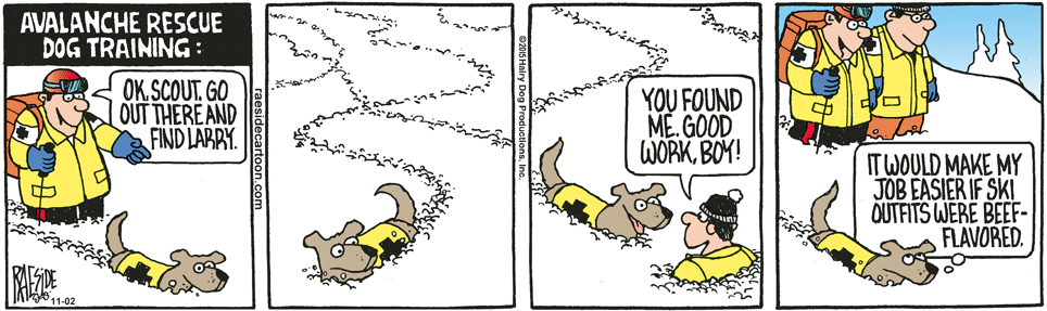 RAESIDE CARTOON | iNFOnews.ca